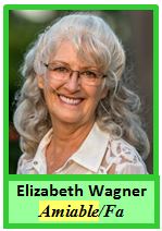 Eliz Type 2022