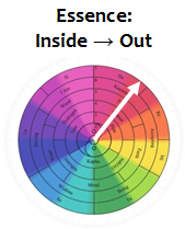 TEB6 pic-6 Ess inside-out